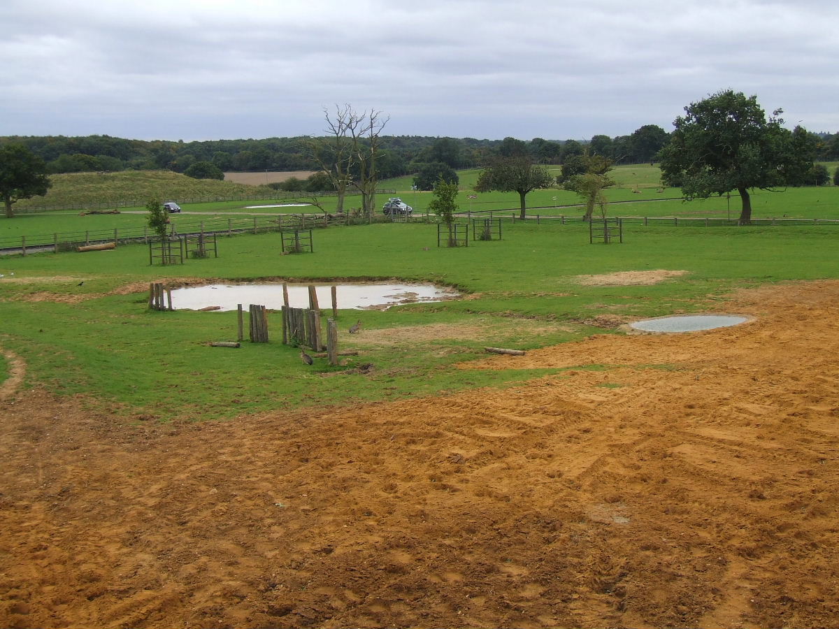 Greater One-horned Rhino enclosure, Rhinos of Nepal exhibition