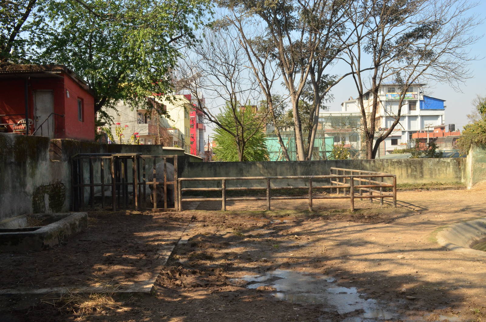 Greater One horned rhino enclosure