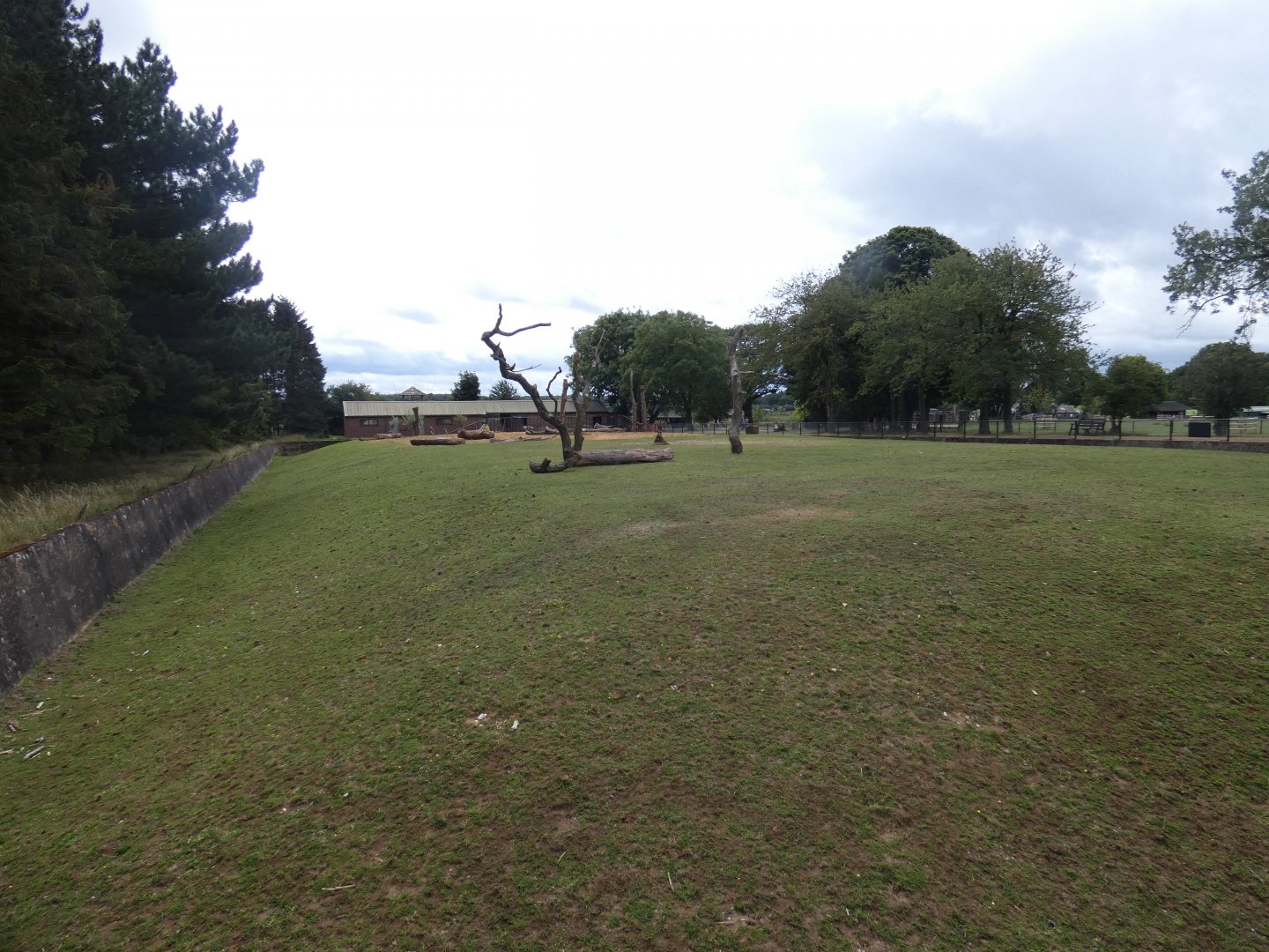 Greater One-horned Rhino enclosure