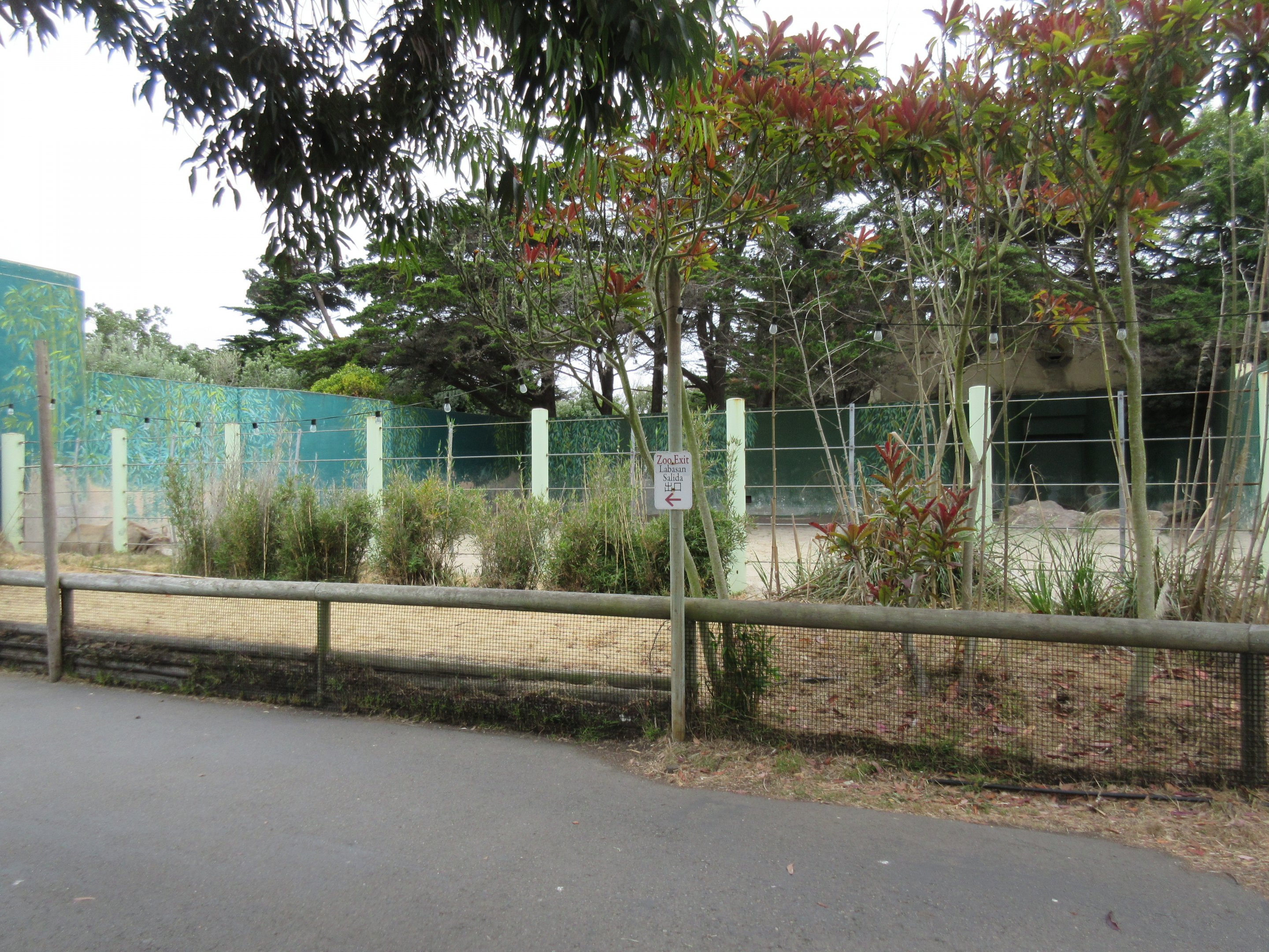 Greater One-Horned Rhino Exhibit (half of the enclosure)