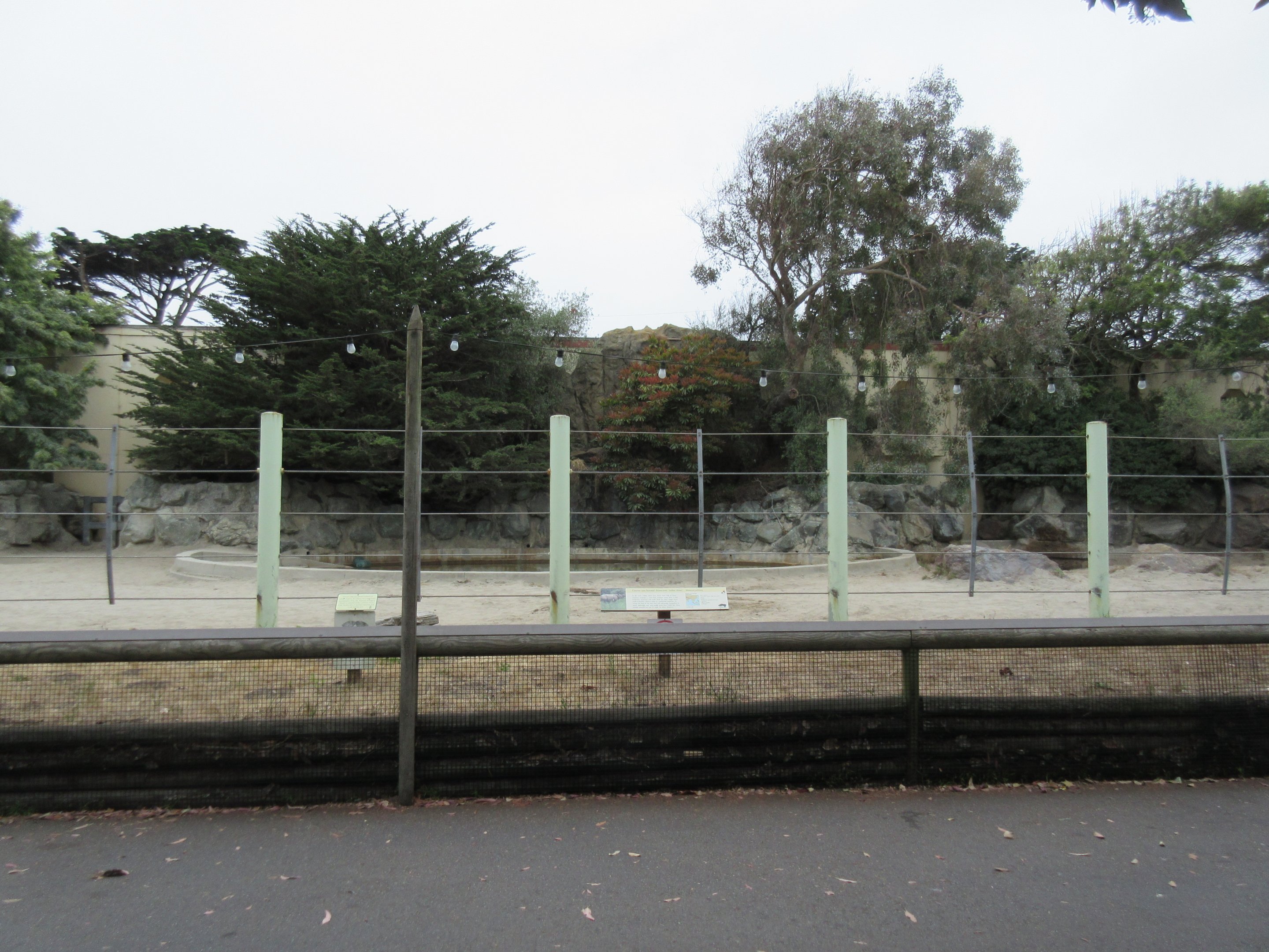 Greater One-Horned Rhino Exhibit (half of the enclosure)