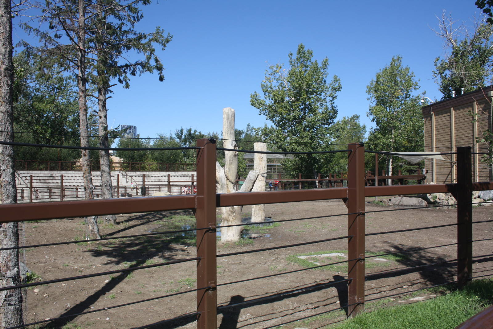 Greater One-Horned Rhino Exhibit (old elephant complex)