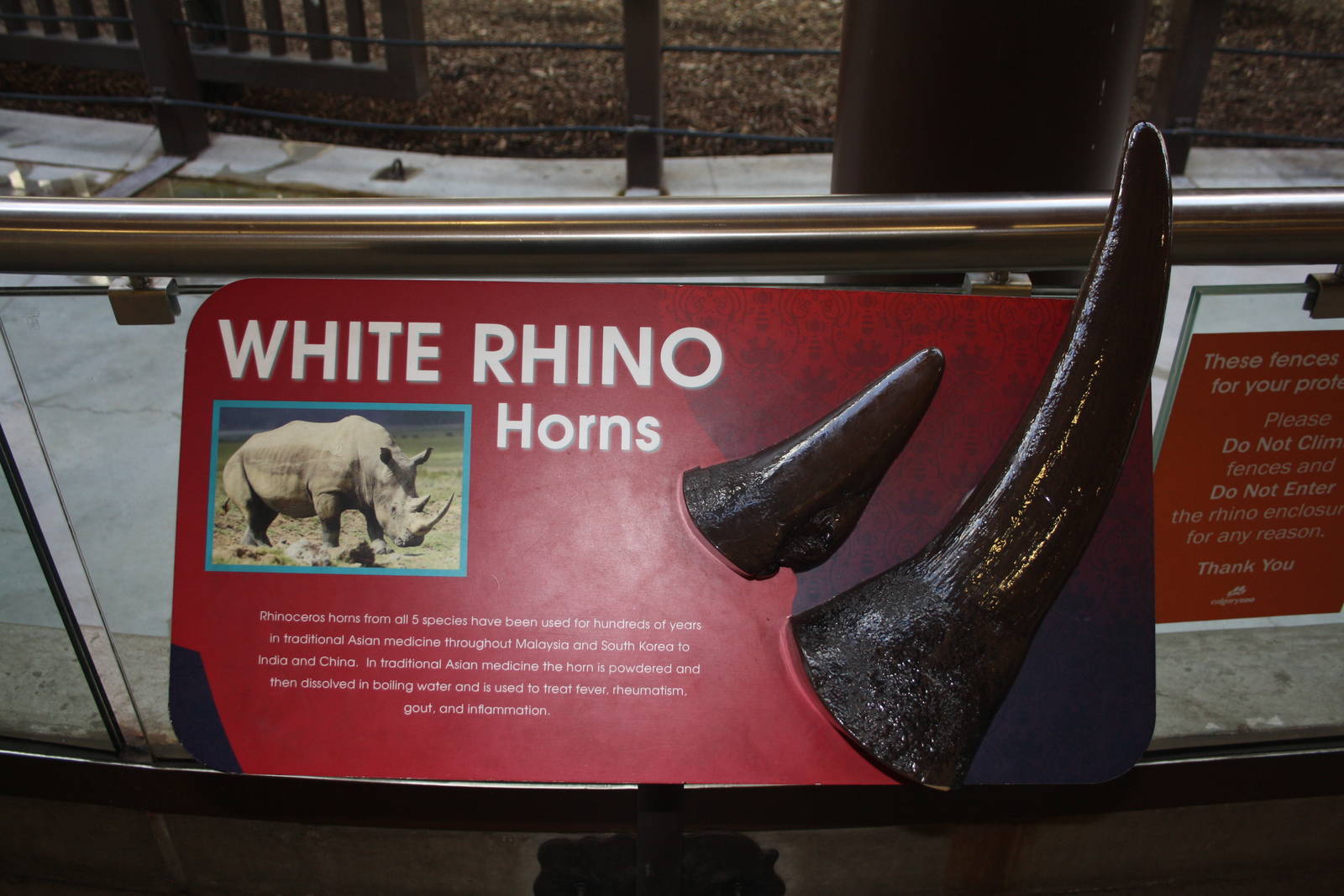 Greater One-Horned Rhino Exhibit (old elephant complex)