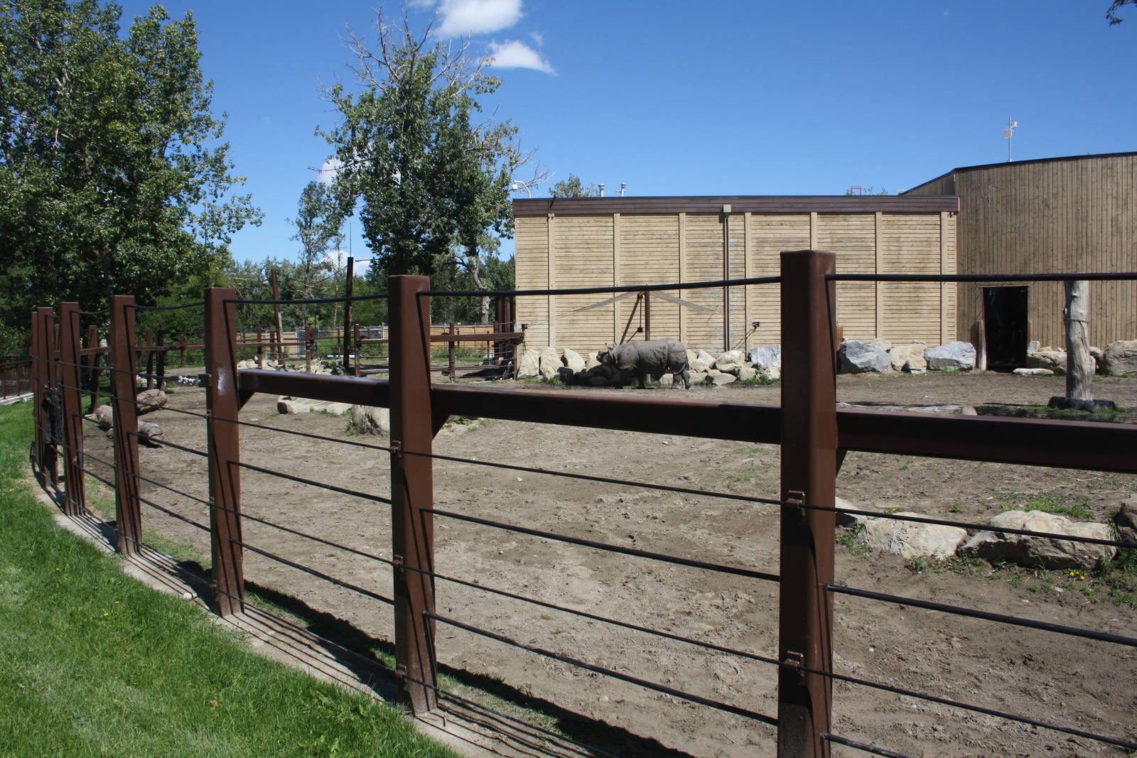Greater One-Horned Rhino Exhibit (old elephant complex)