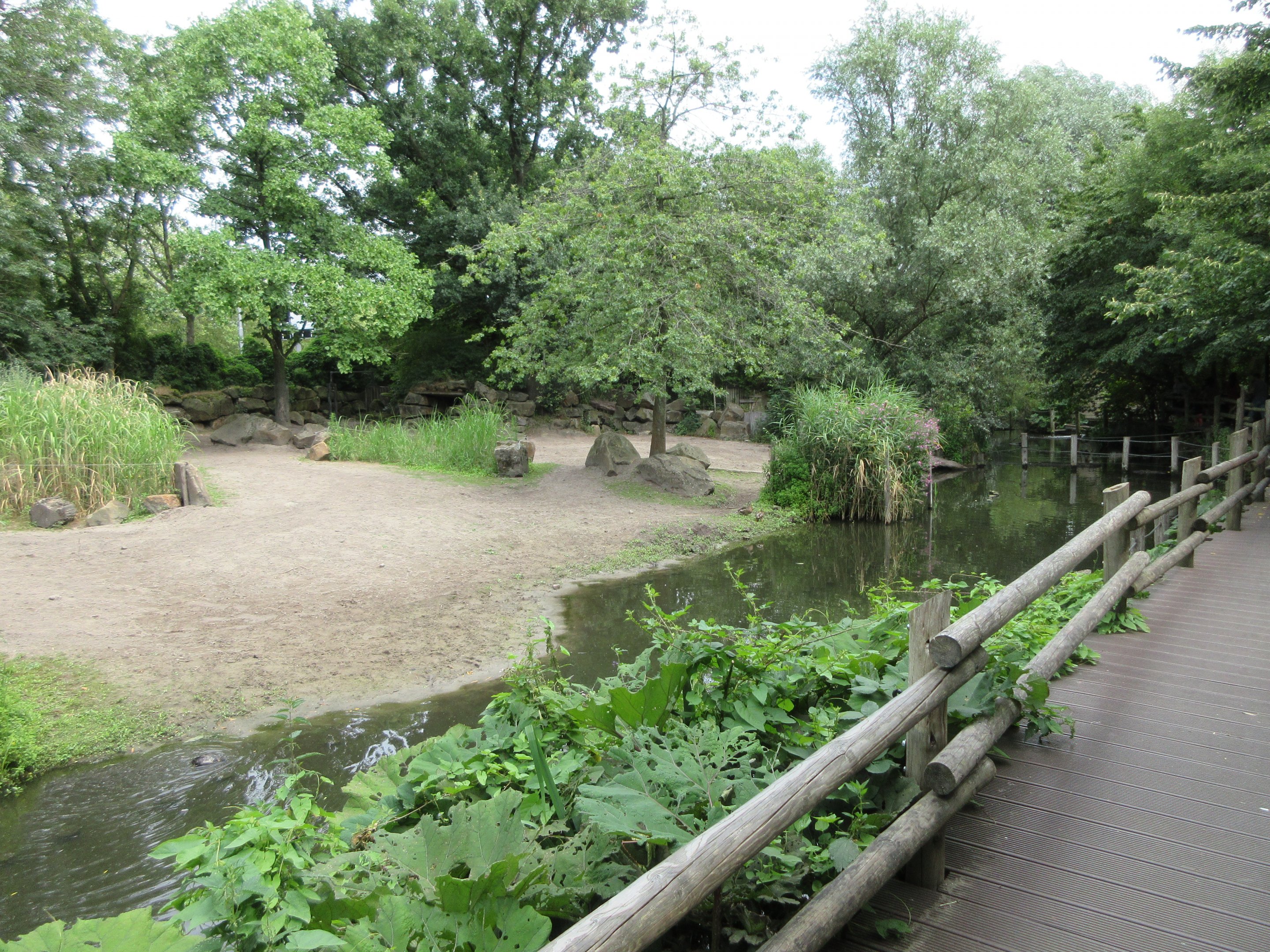 Greater One-horned Rhino Exhibit