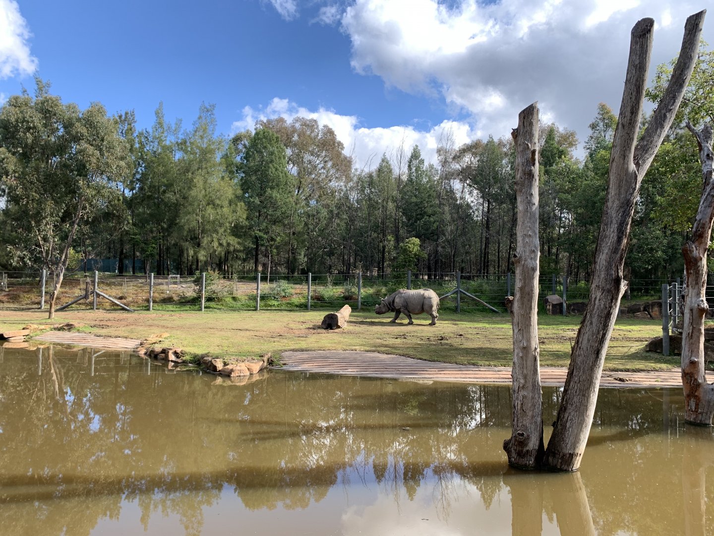 Greater One-horned Rhino Exhibit