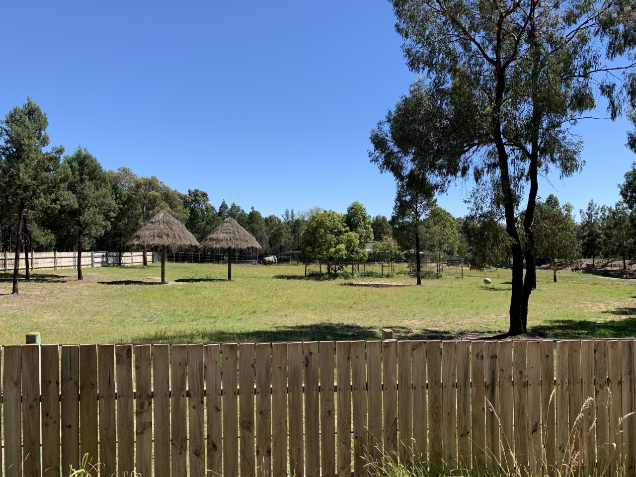 Greater One-horned Rhino exhibit