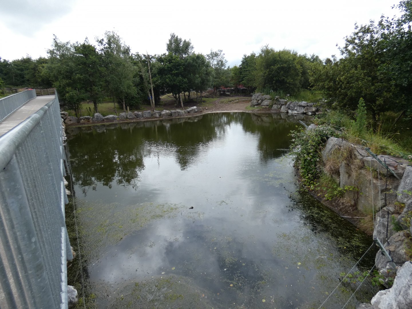 Greater one-horned rhino female enclosure (2)