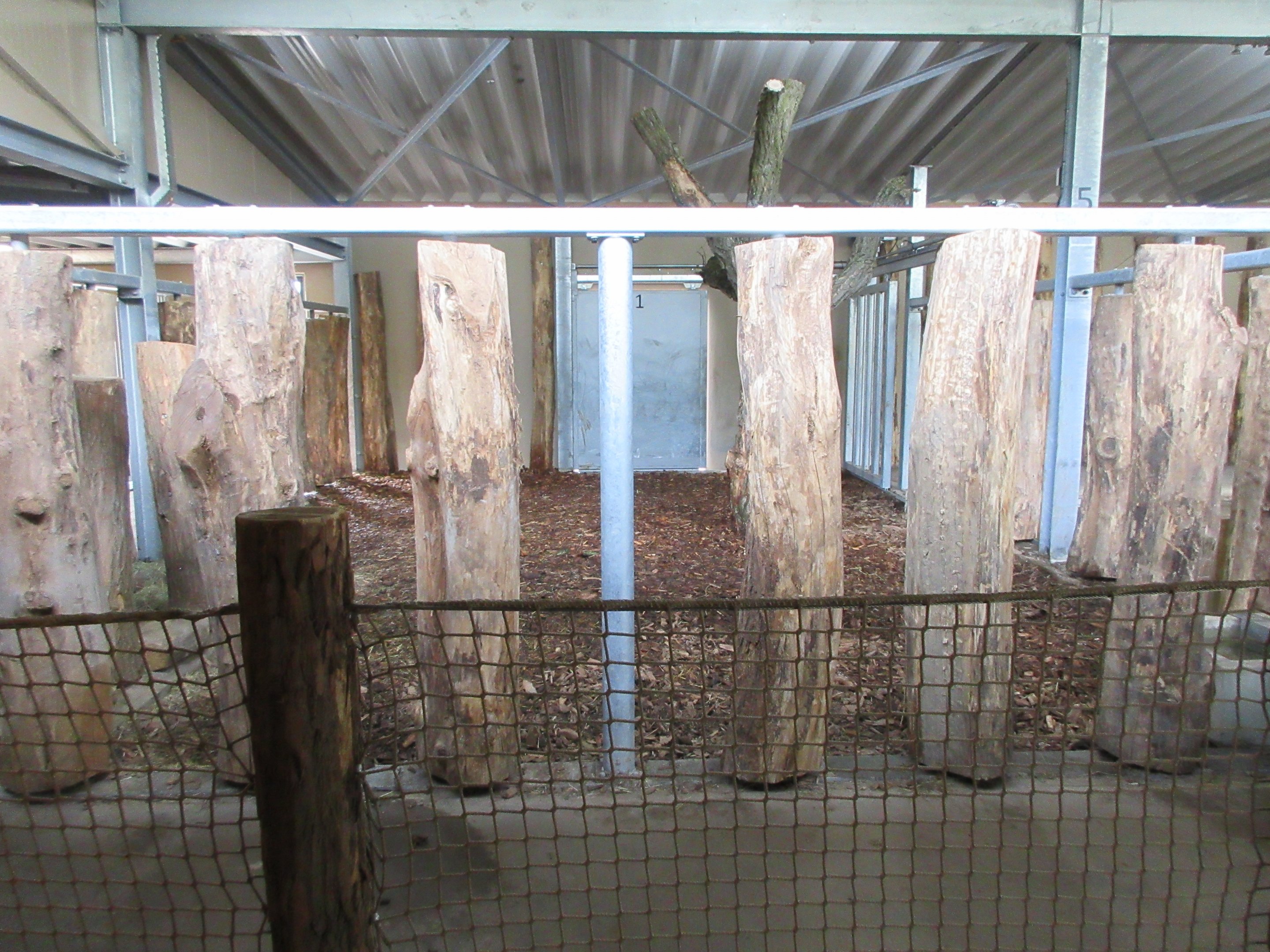 Greater One-horned Rhino House (New in 2019)