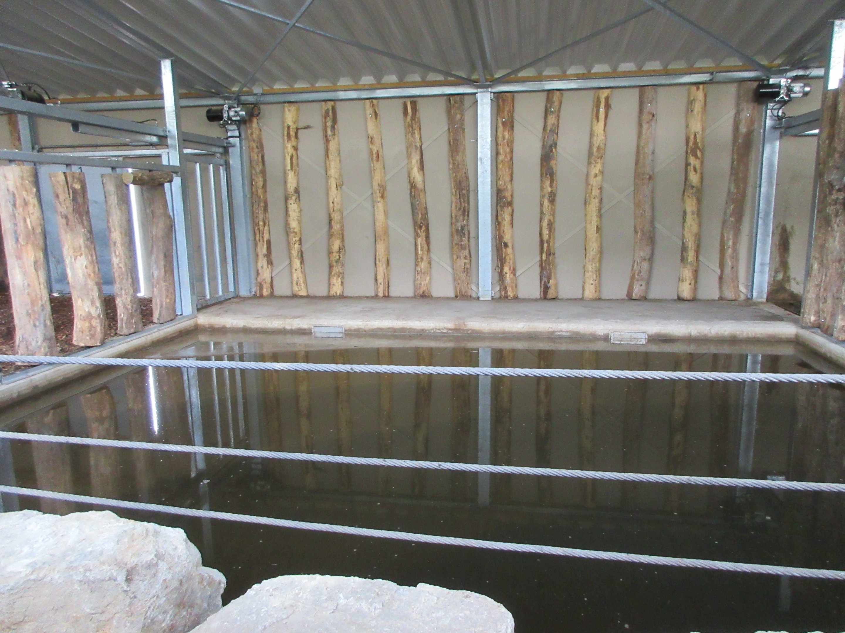 Greater One-horned Rhino House (New in 2019)