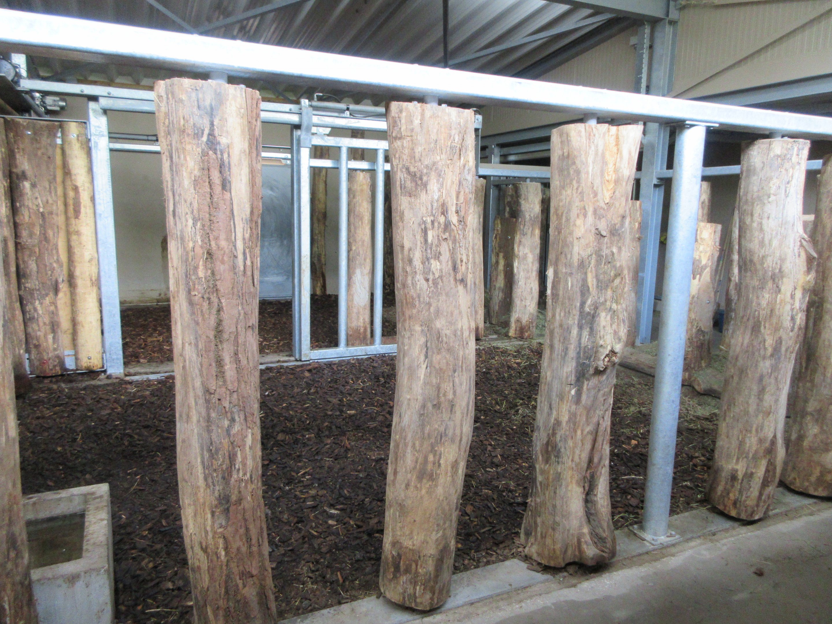 Greater One-horned Rhino House (New in 2019)