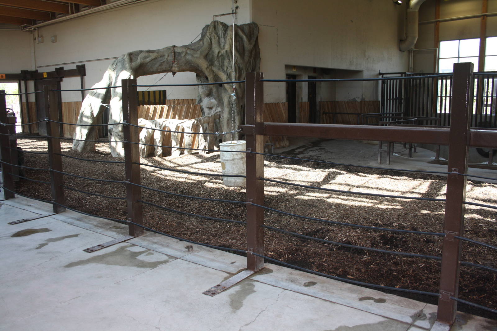 Greater One-Horned Rhino Indoor Exhibit (old elephant complex)