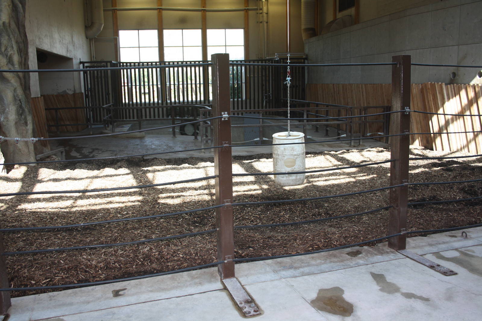 Greater One-Horned Rhino Indoor Exhibit (old elephant complex)
