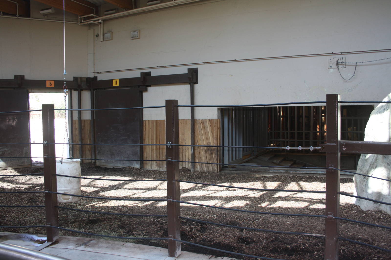 Greater One-Horned Rhino Indoor Exhibit (old elephant complex)