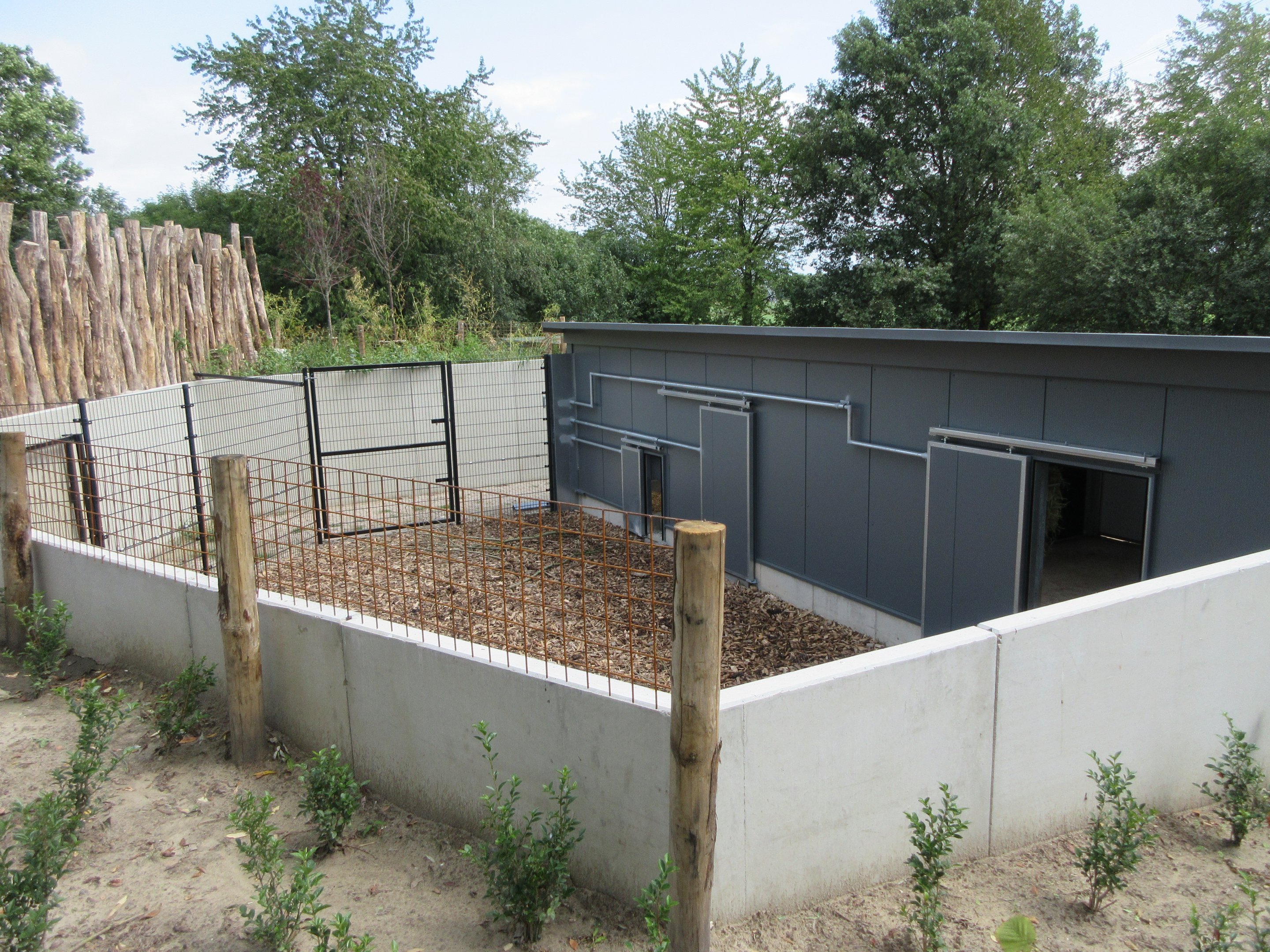 Greater One-horned Rhino/Nilagi/Hog Deer/Visayan Warty Pig Exhibit - side yard