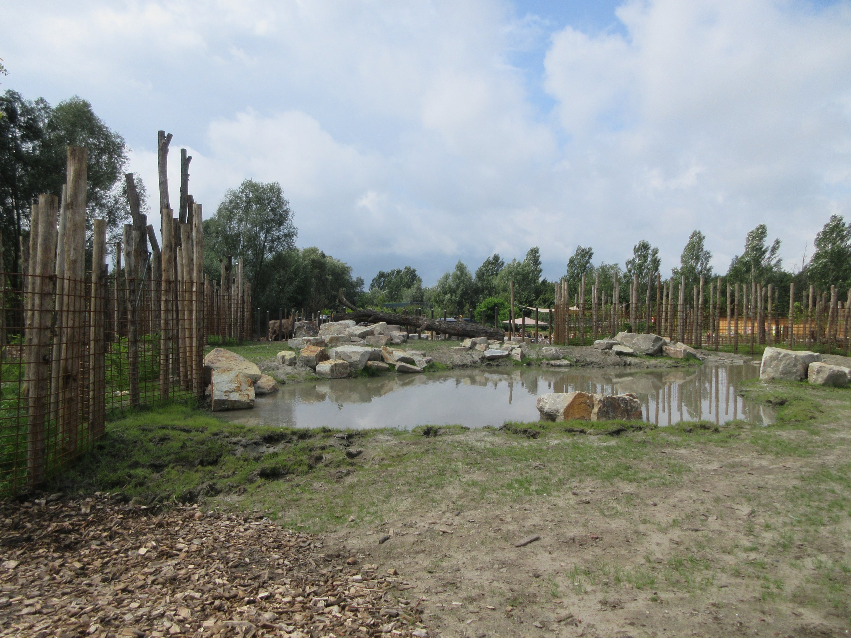 Greater One-horned Rhino/Nilagi/Hog Deer/Visayan Warty Pig Exhibit