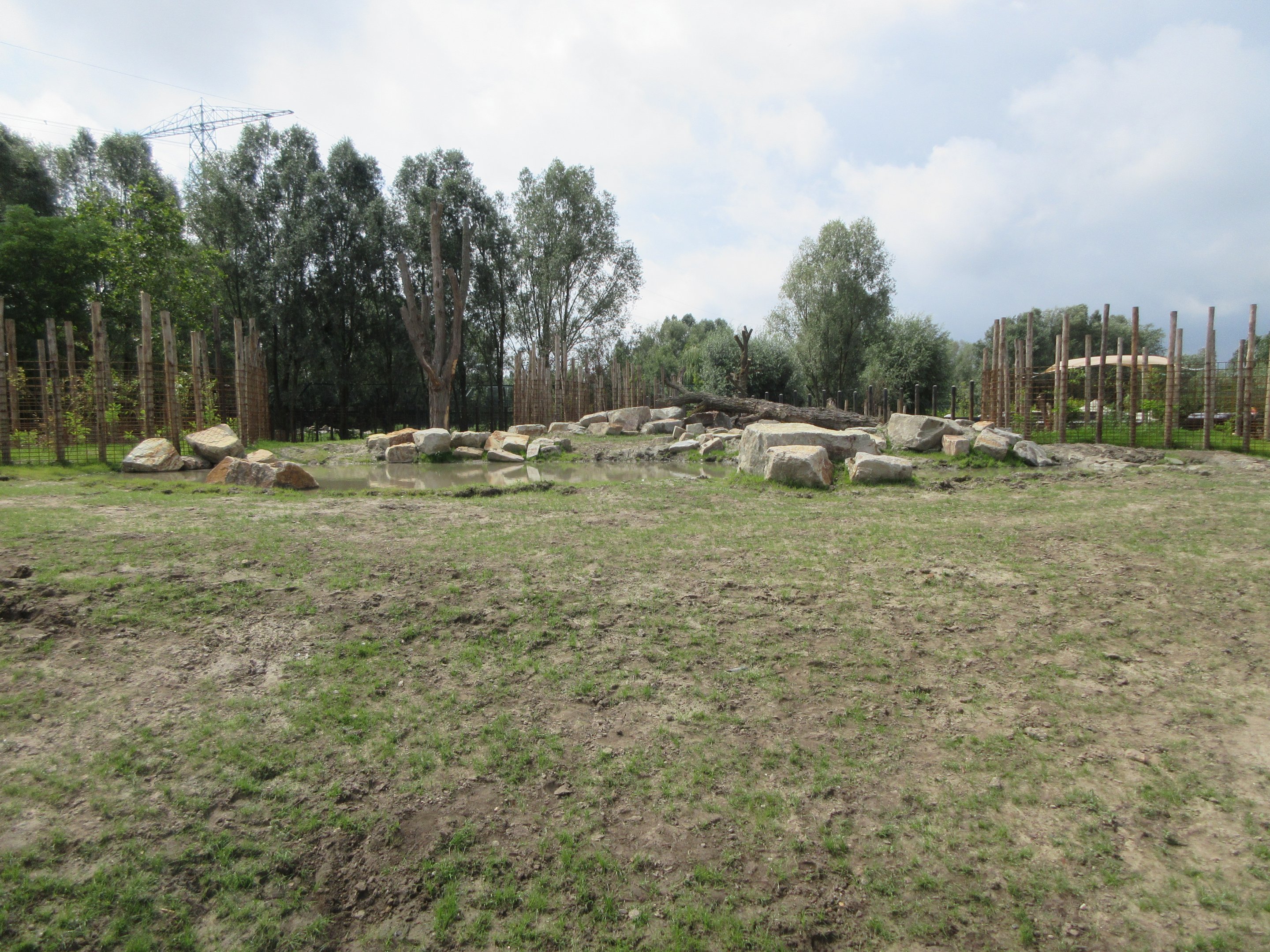 Greater One-horned Rhino/Nilagi/Hog Deer/Visayan Warty Pig Exhibit