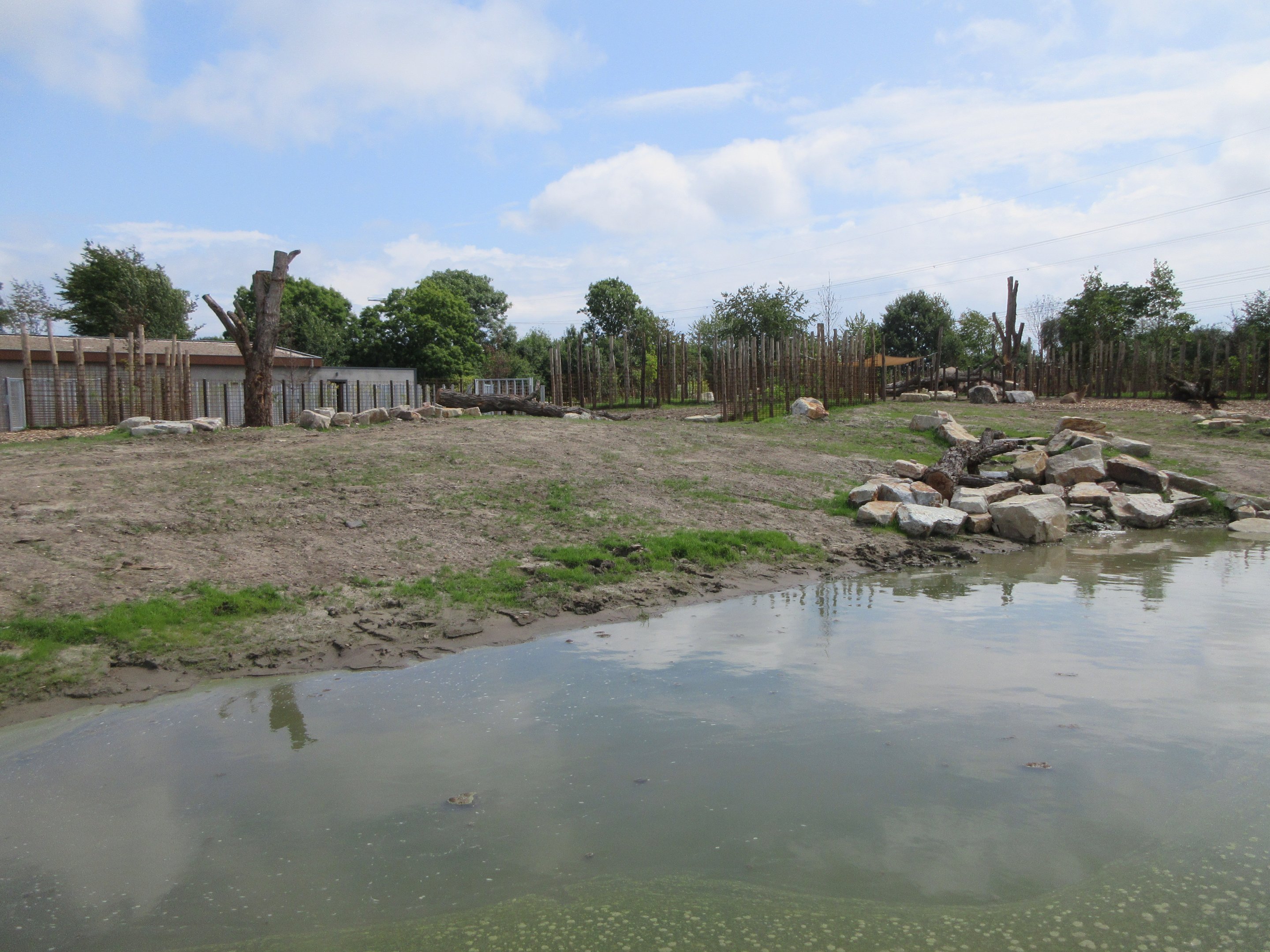Greater One-horned Rhino/Nilagi/Hog Deer/Visayan Warty Pig Exhibit