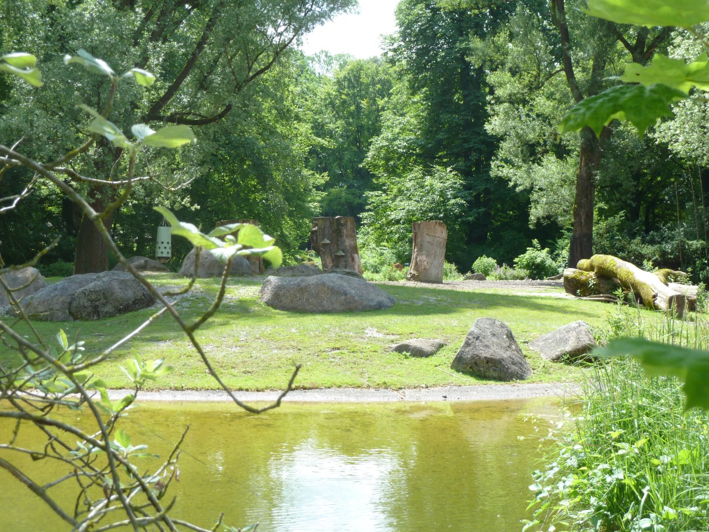 Greater One-horned rhinoceros enclosure