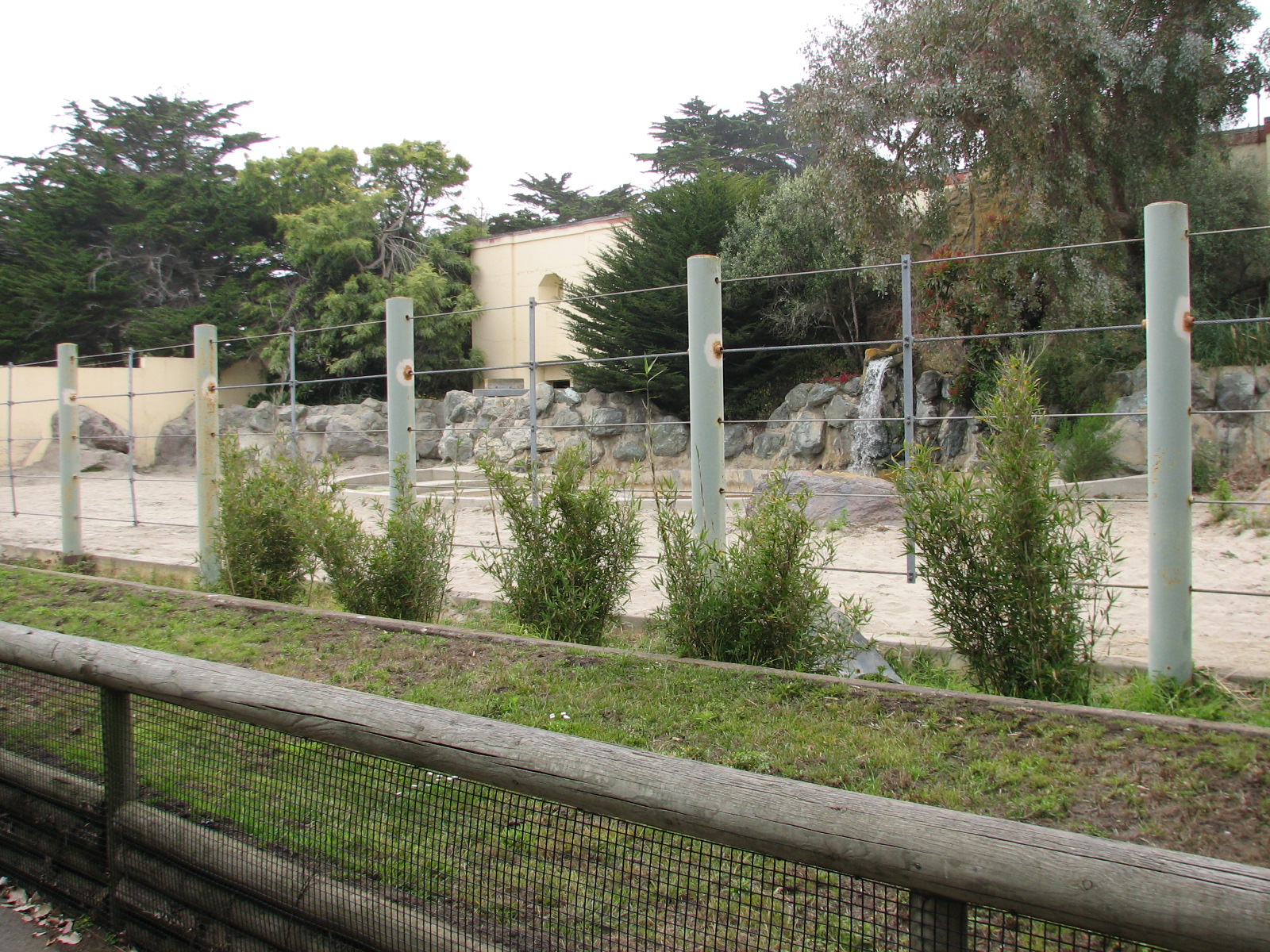 Greater One-horned Rhinoceros Exhibit