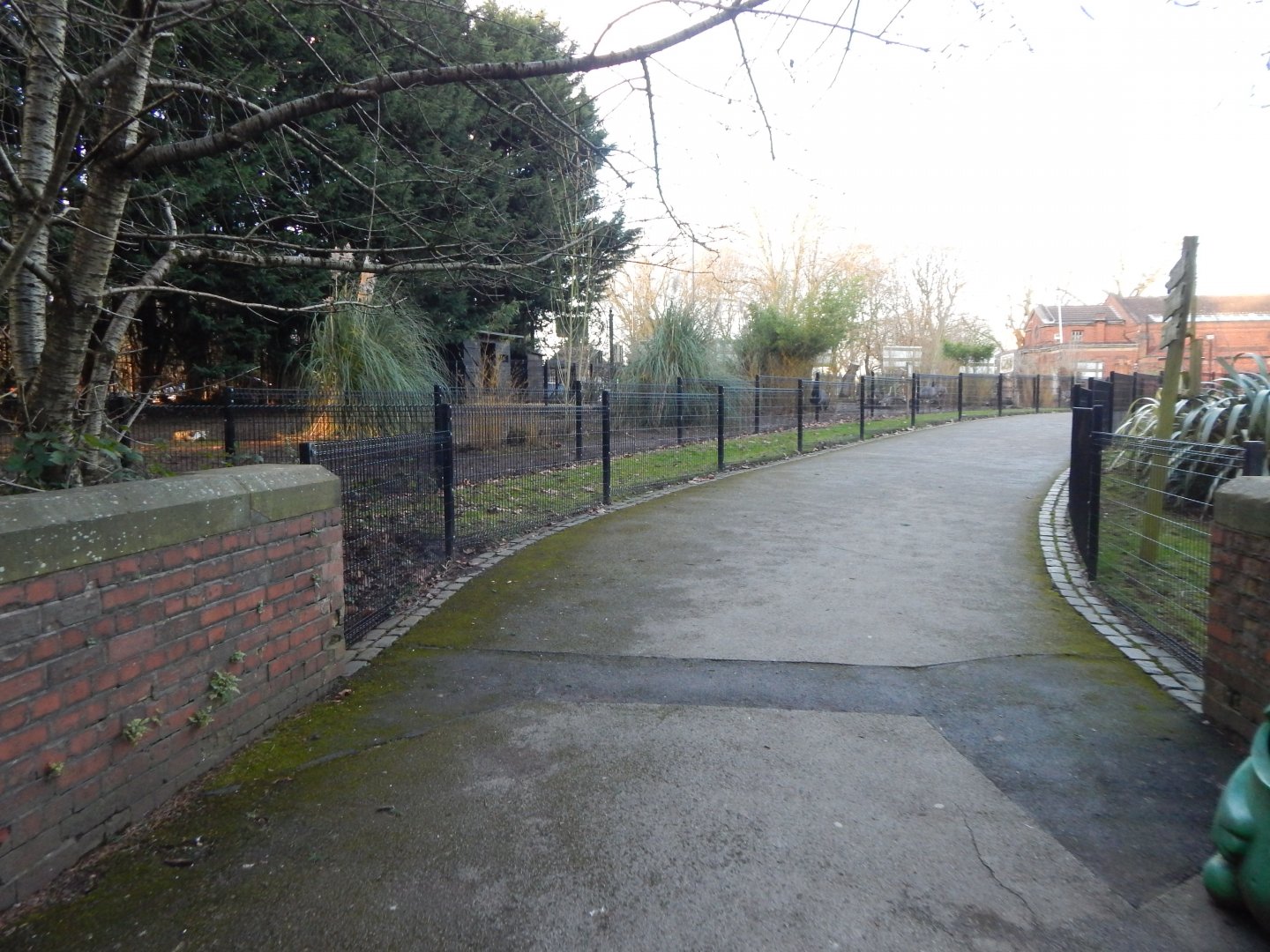 Greater rhea enclosure 260124