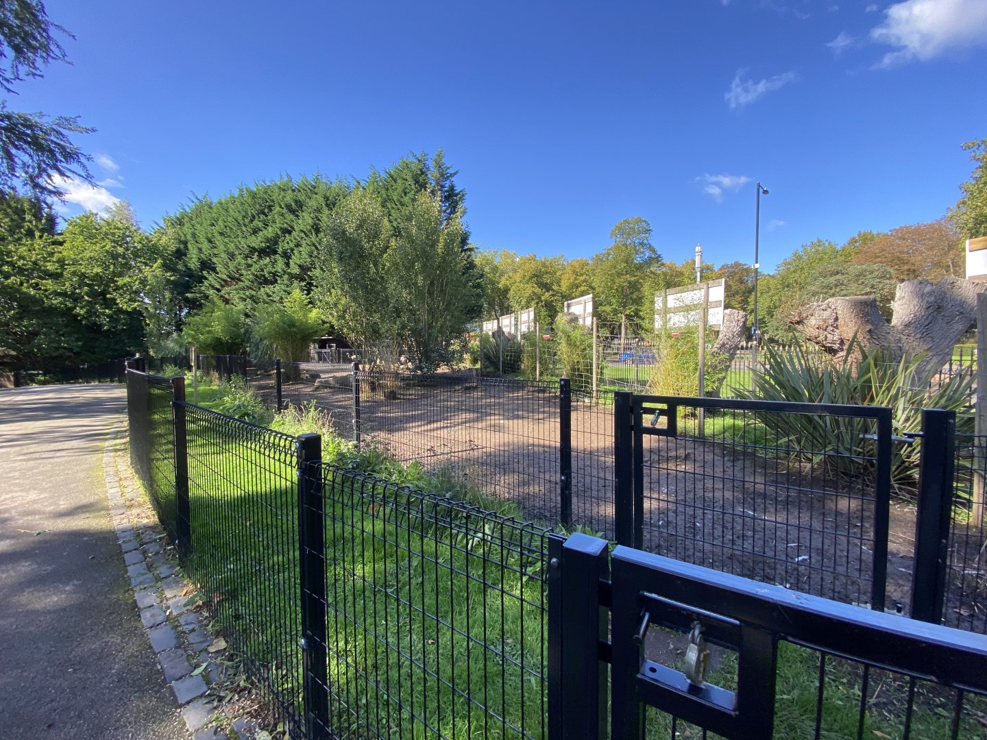 Greater rhea enclosure