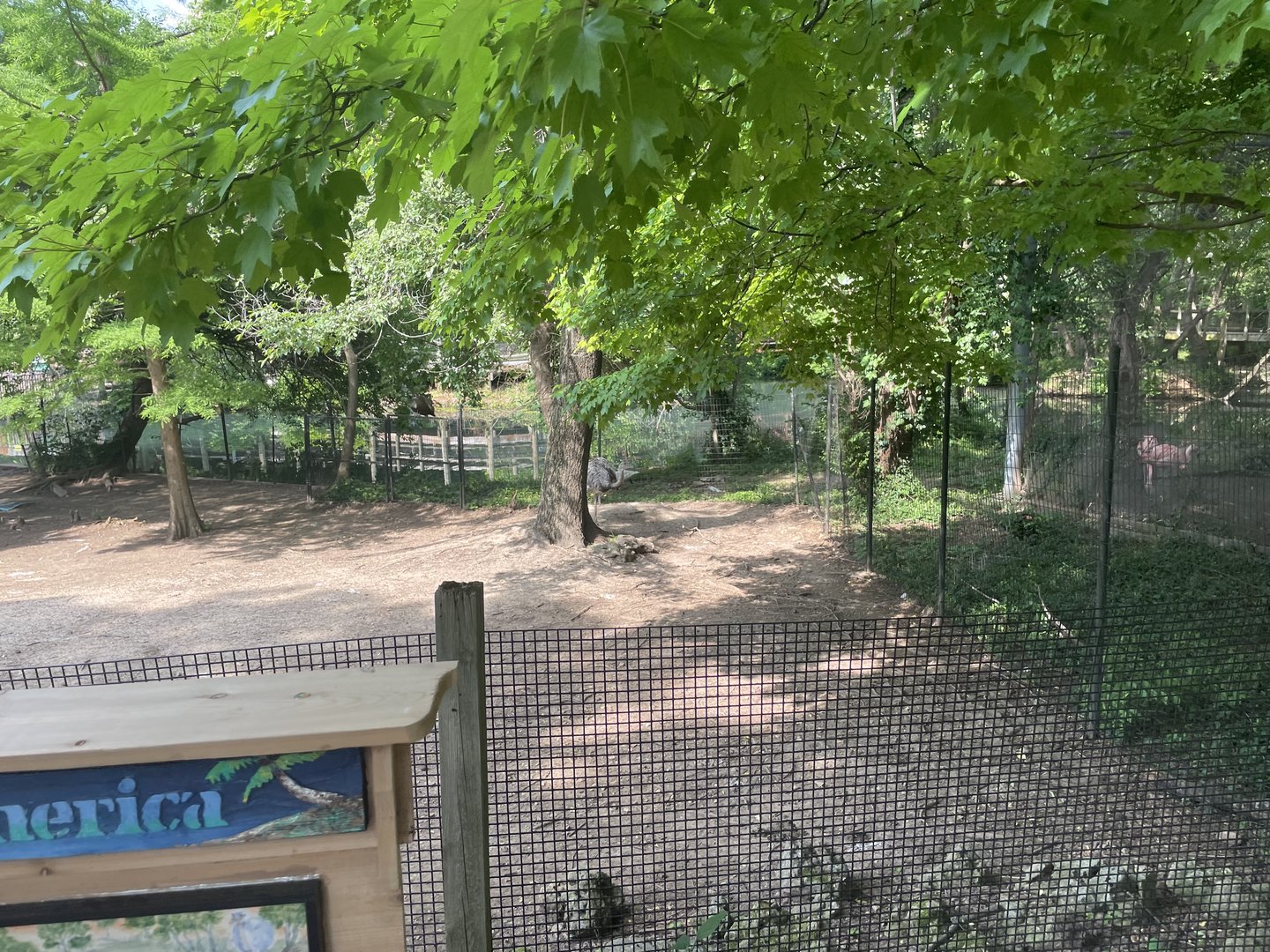 Greater Rhea Exhibit- 2023