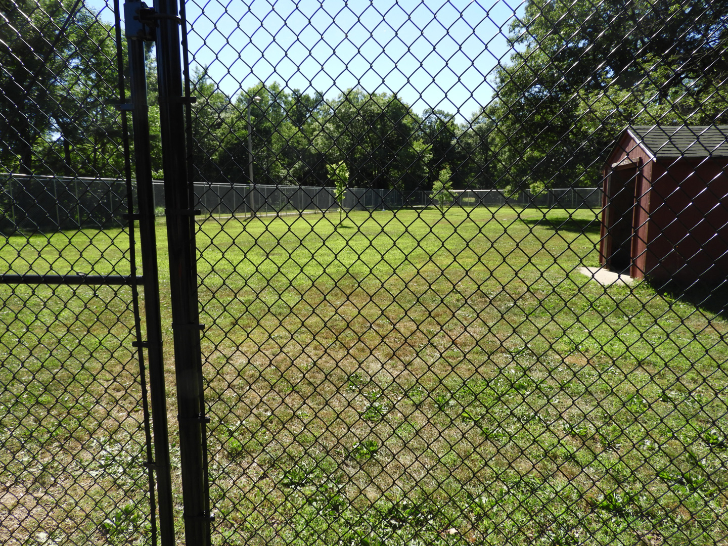 Greater Rhea exhibit - Wisconsin Rapids Municipal Zoo