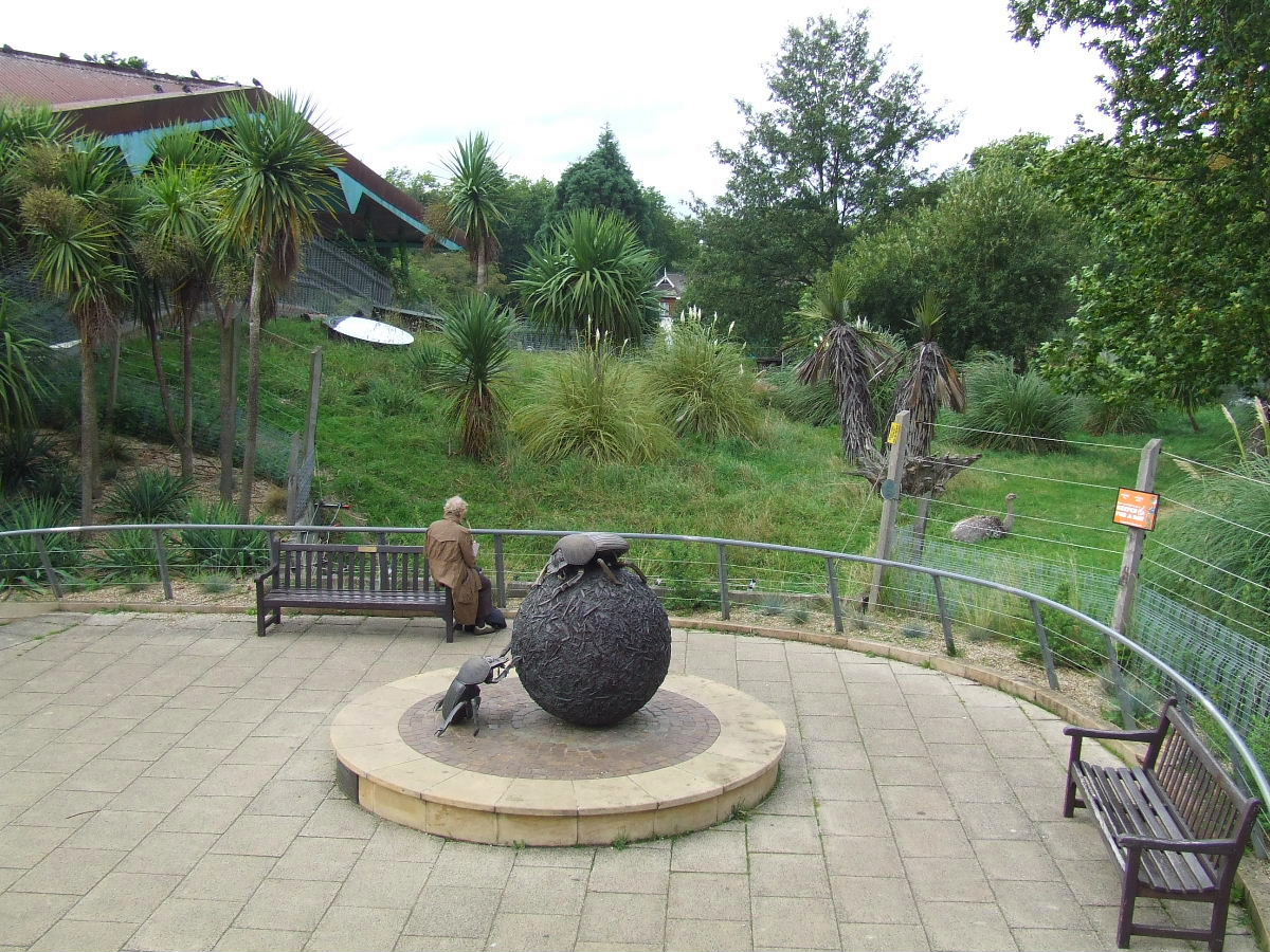 Greater Rhea exhibit