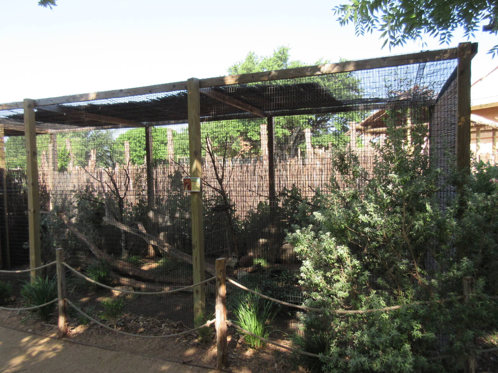 Greater Roadrunner Exhibit