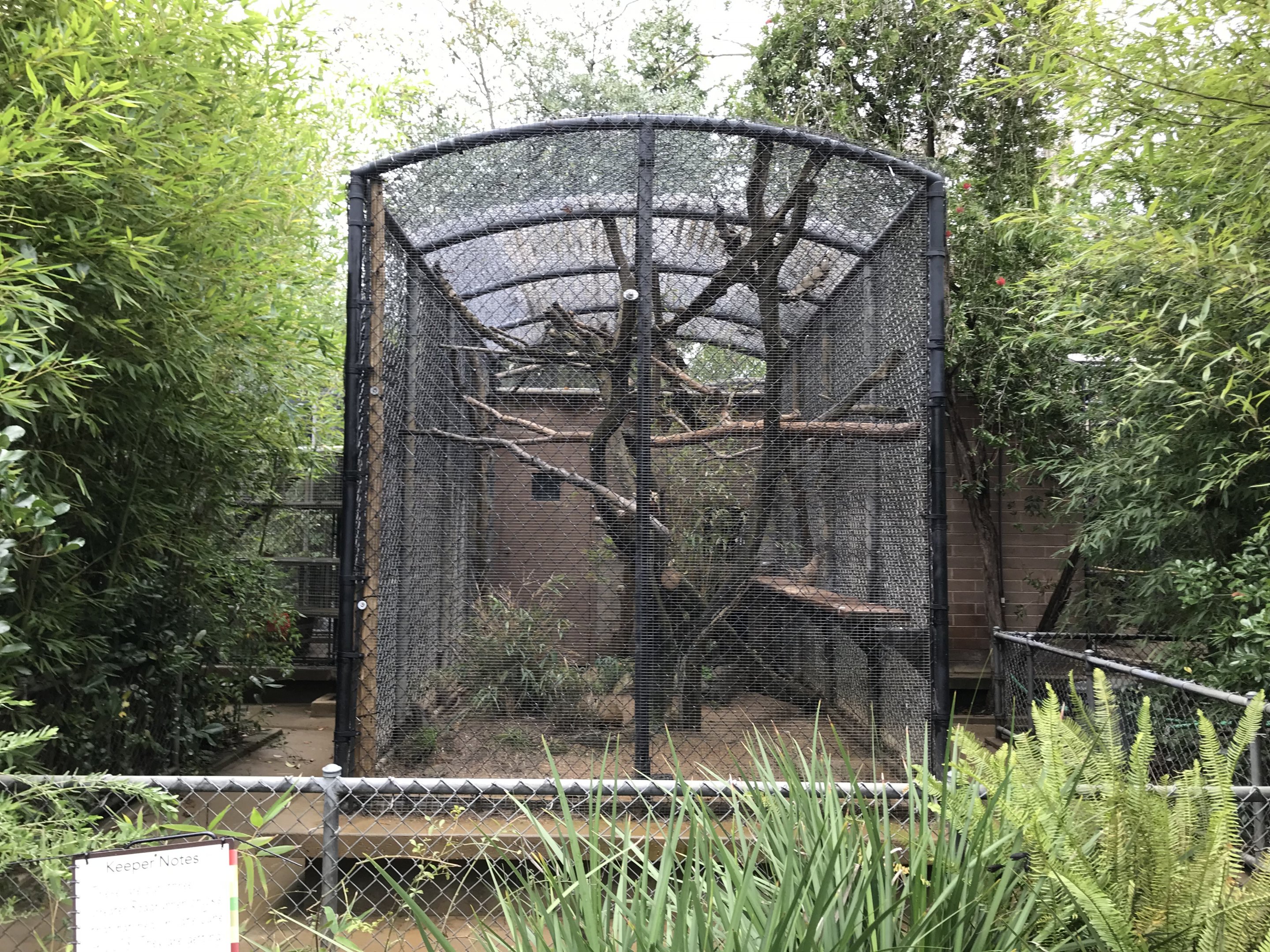 Greater Roadrunner Exhibit