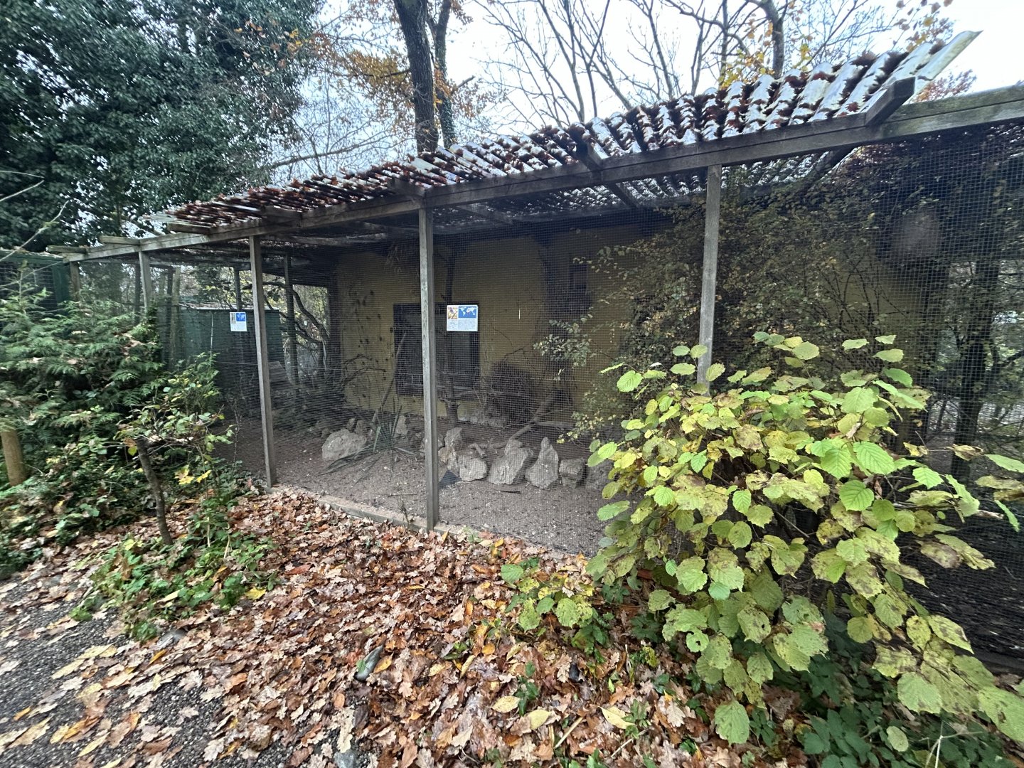 Greater Roadrunner & Lilac-breasted Roller Aviary