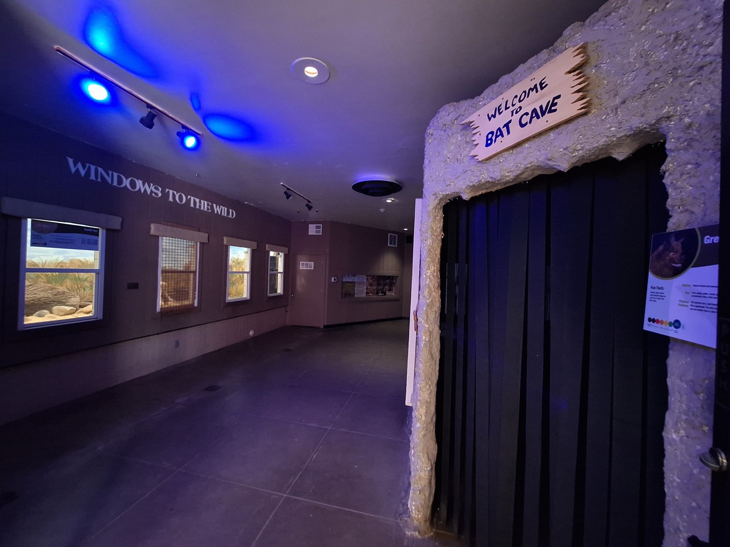 Greater Spear-nosed Bat and Swift Fox enclosures