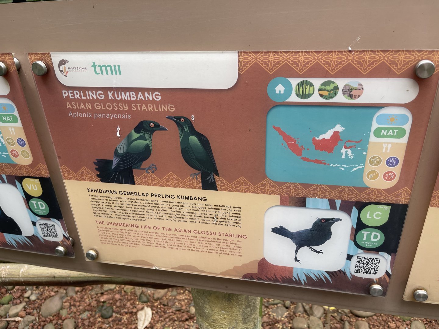 greater sunda - asian glossy starling signage - taman burung