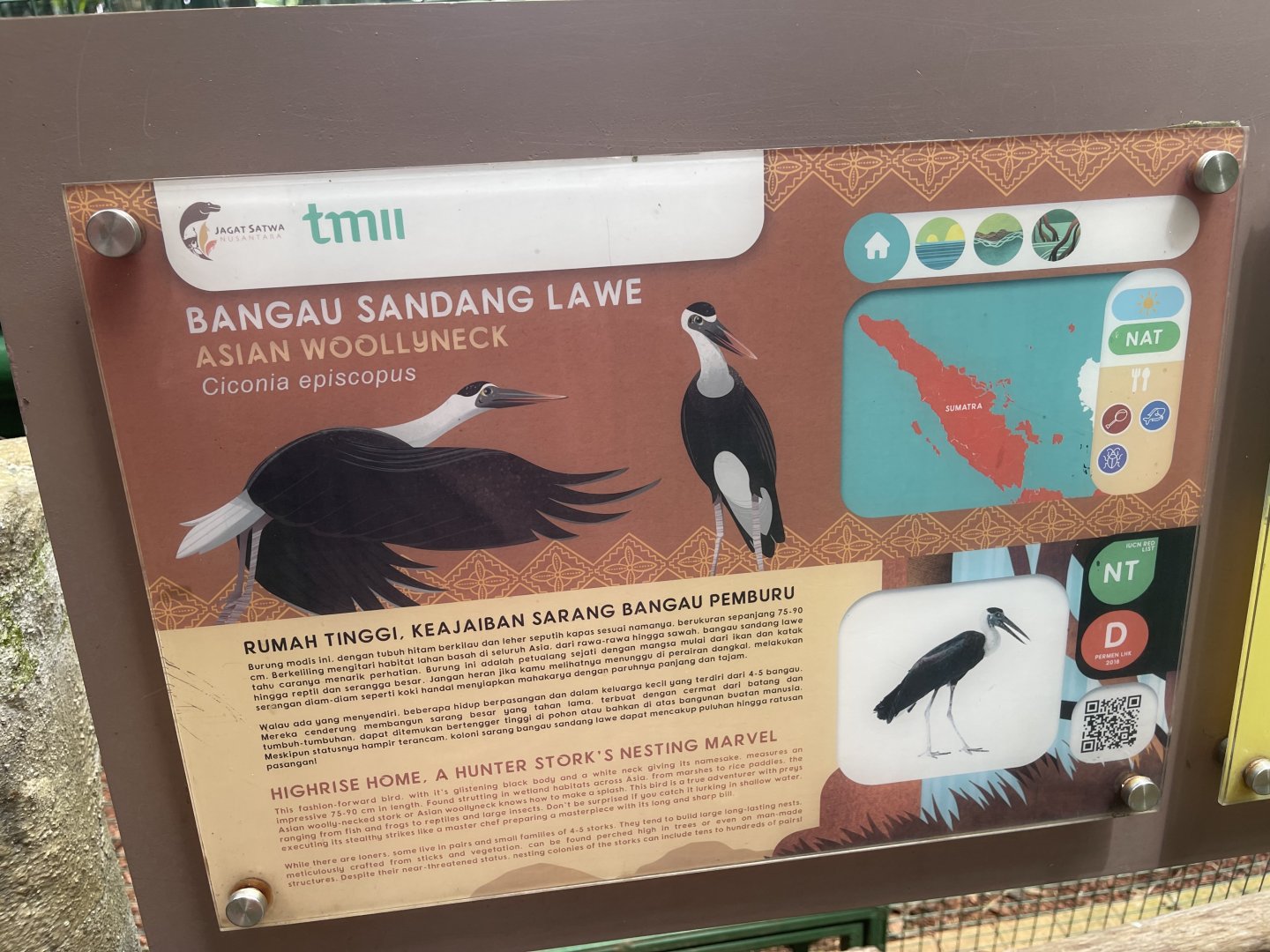 greater sunda - asian woollyneck stork signage - taman burung
