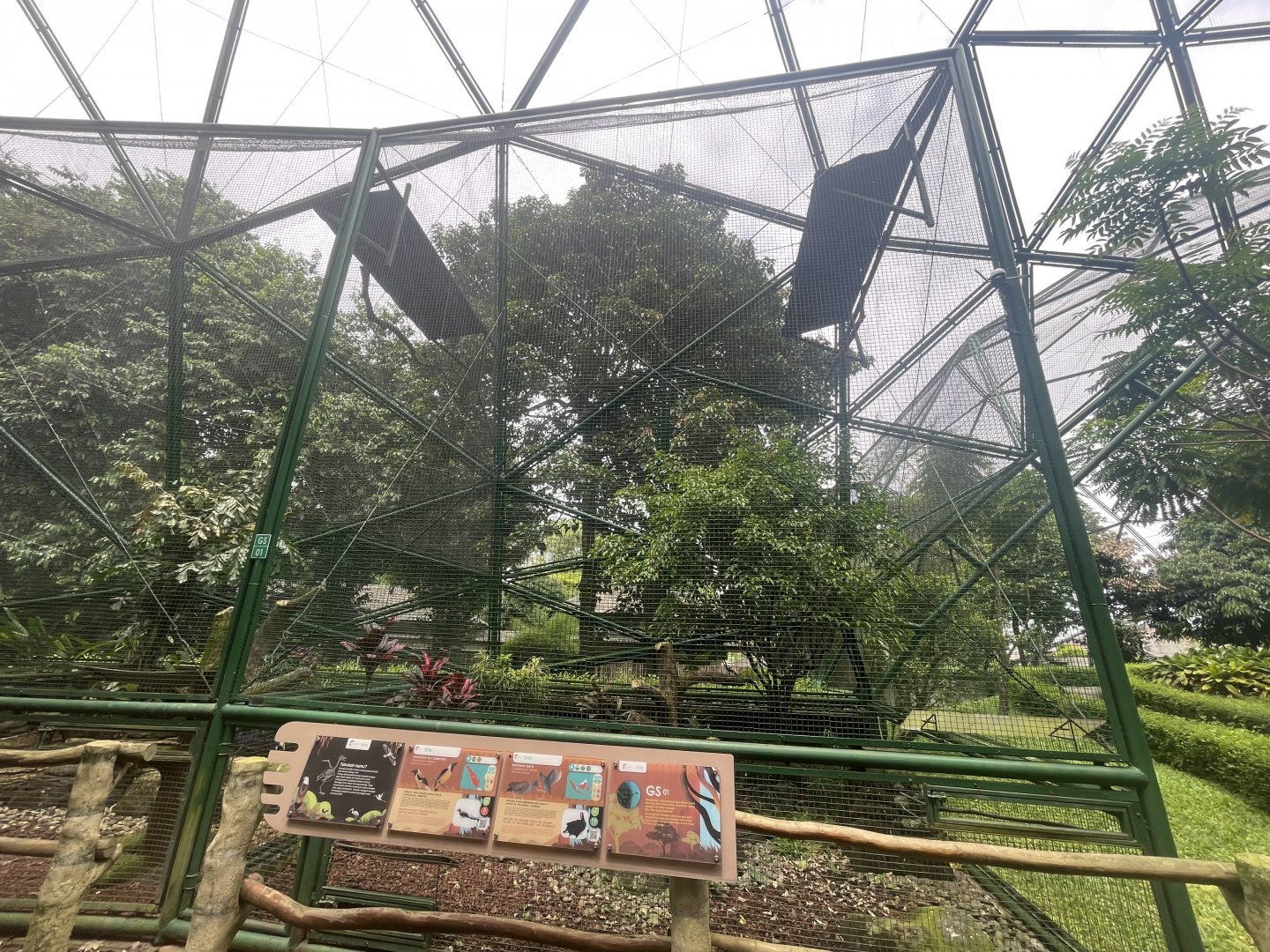 greater sunda - aviary no. 1 - taman burung