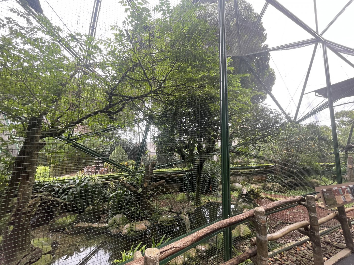 greater sunda - aviary no. 10 - taman burung