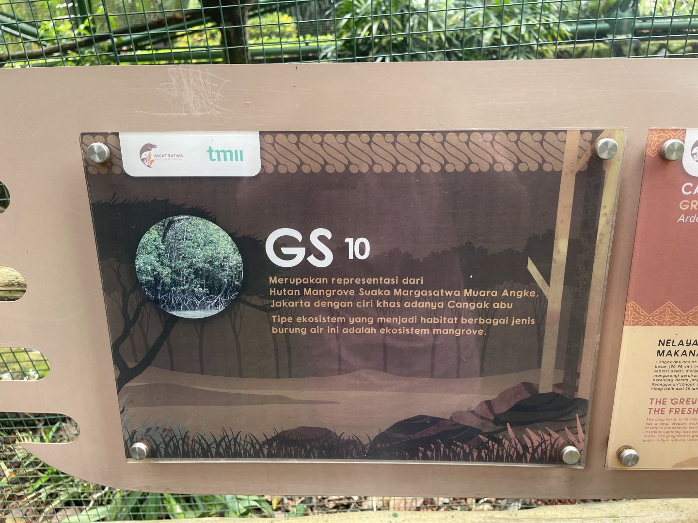 greater sunda - aviary no. 10 - taman burung