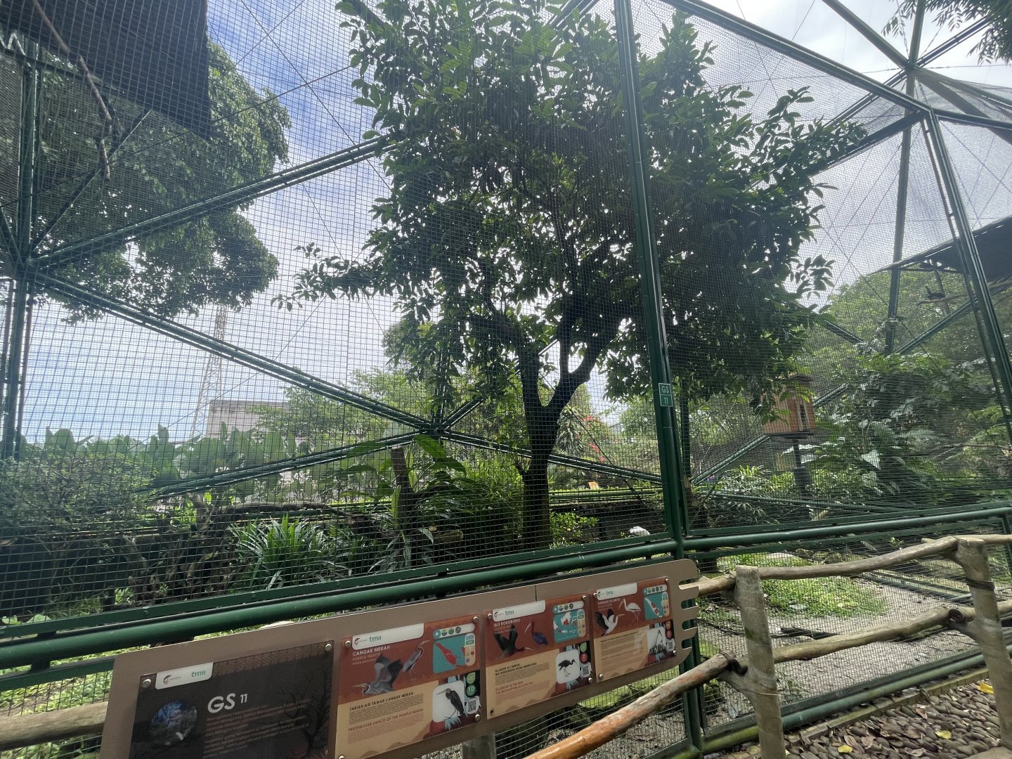 greater sunda - aviary no. 11 - taman burung