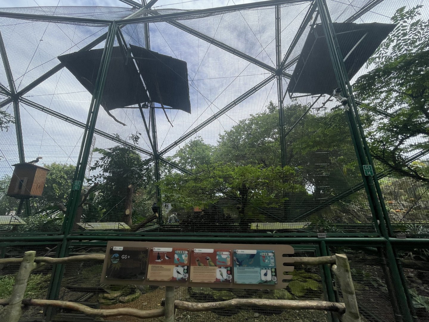 greater sunda - aviary no. 13 - taman burung