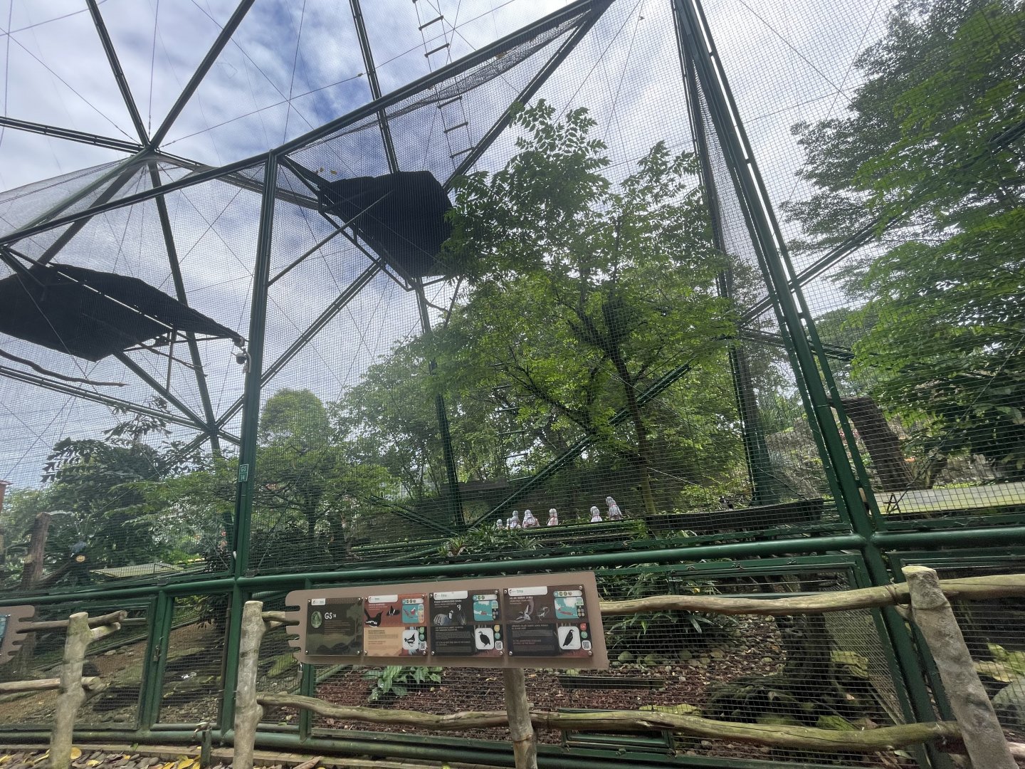 greater sunda - aviary no. 14 - taman burung