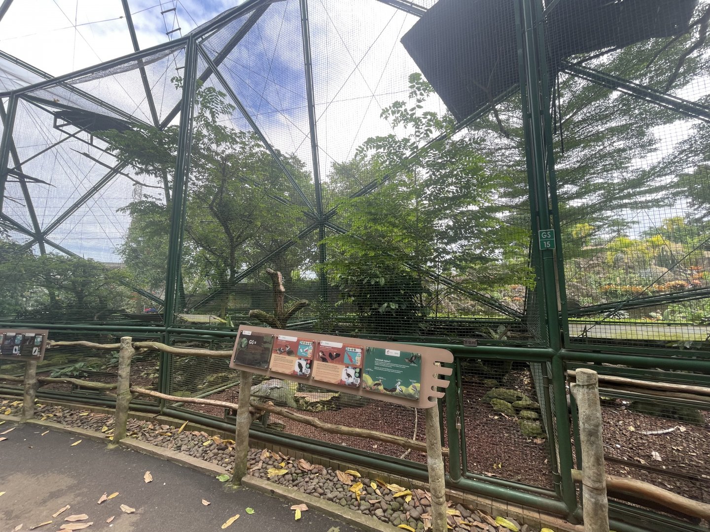 greater sunda - aviary no. 15 - taman burung