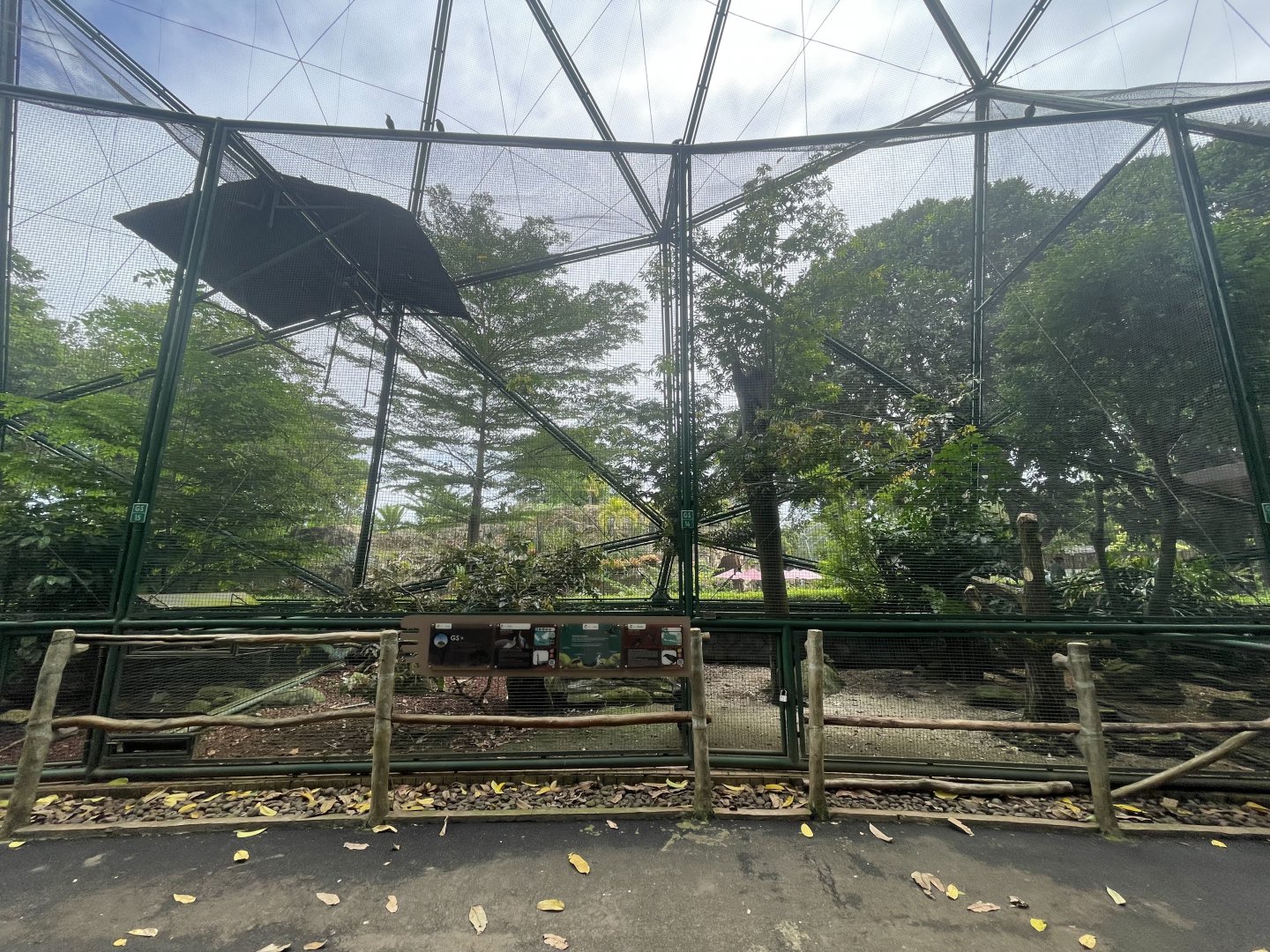 greater sunda - aviary no. 16 - taman burung