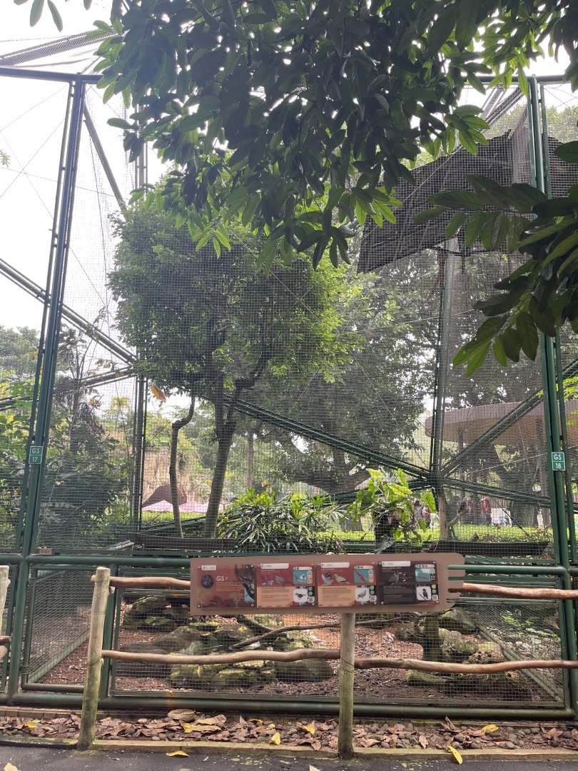 greater sunda - aviary no. 17 - taman burung