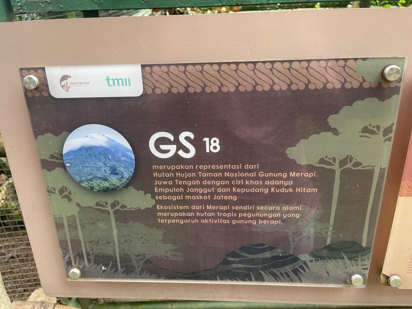 greater sunda - aviary no. 18 - taman burung