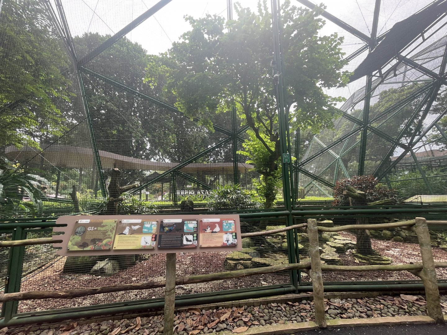 greater sunda - aviary no. 19 - taman burung