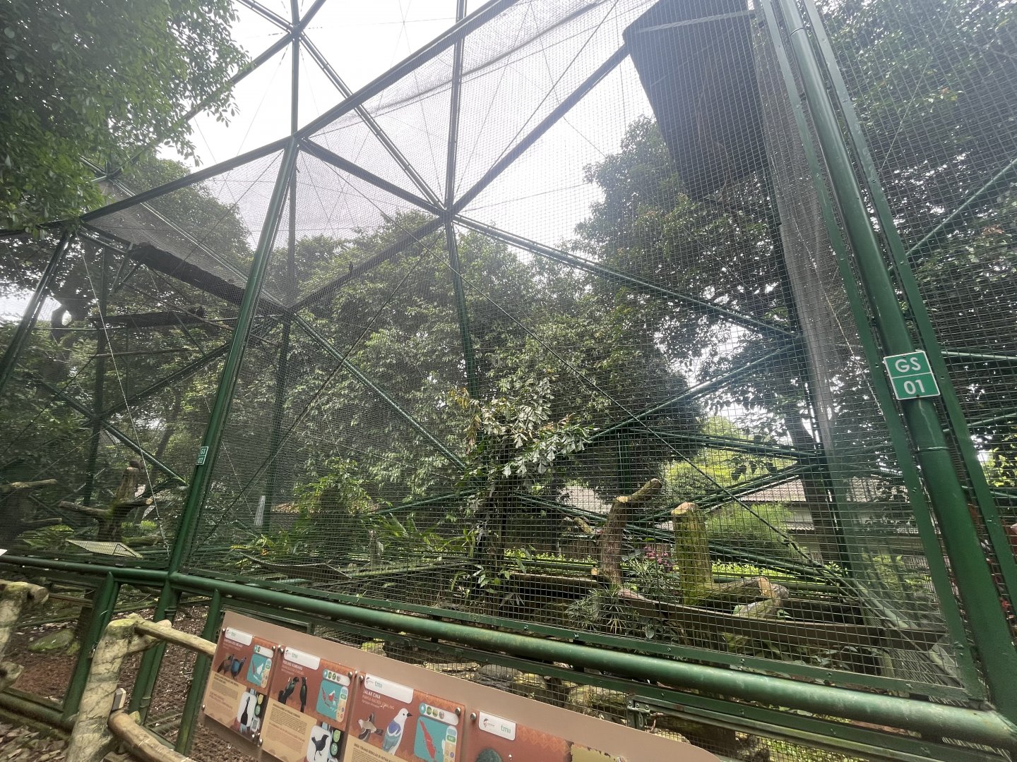 greater sunda - aviary no. 2 - taman burung