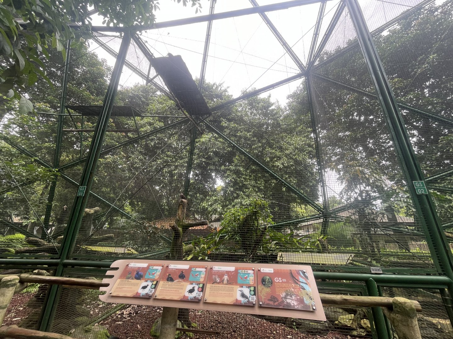 greater sunda - aviary no. 3 - taman burung