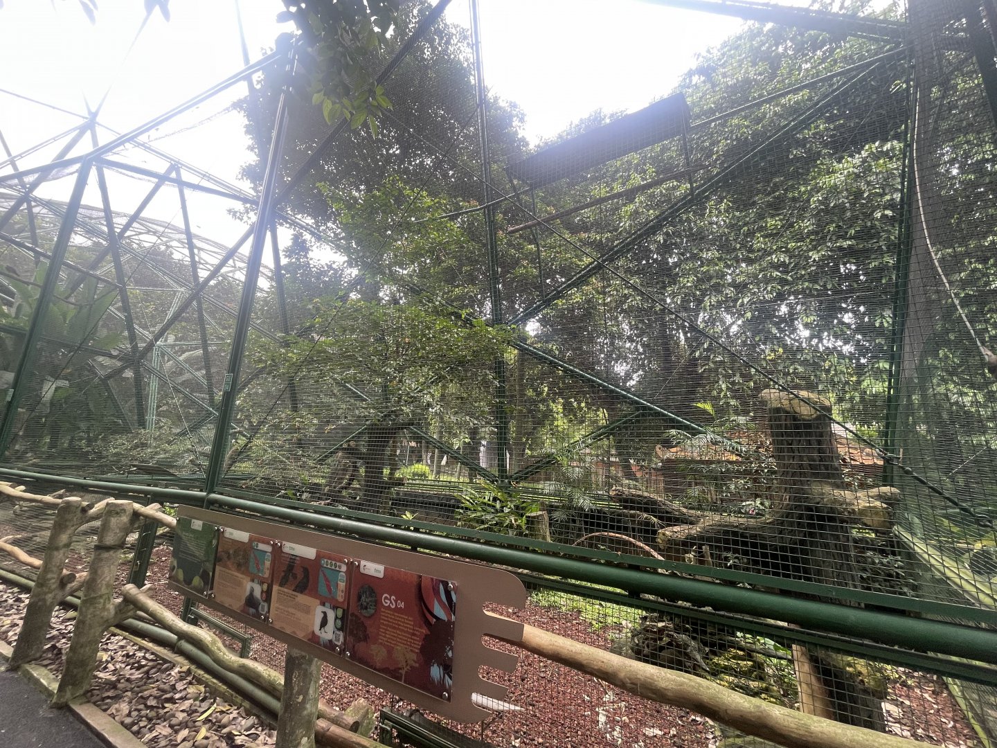 greater sunda - aviary no. 4 - taman burung