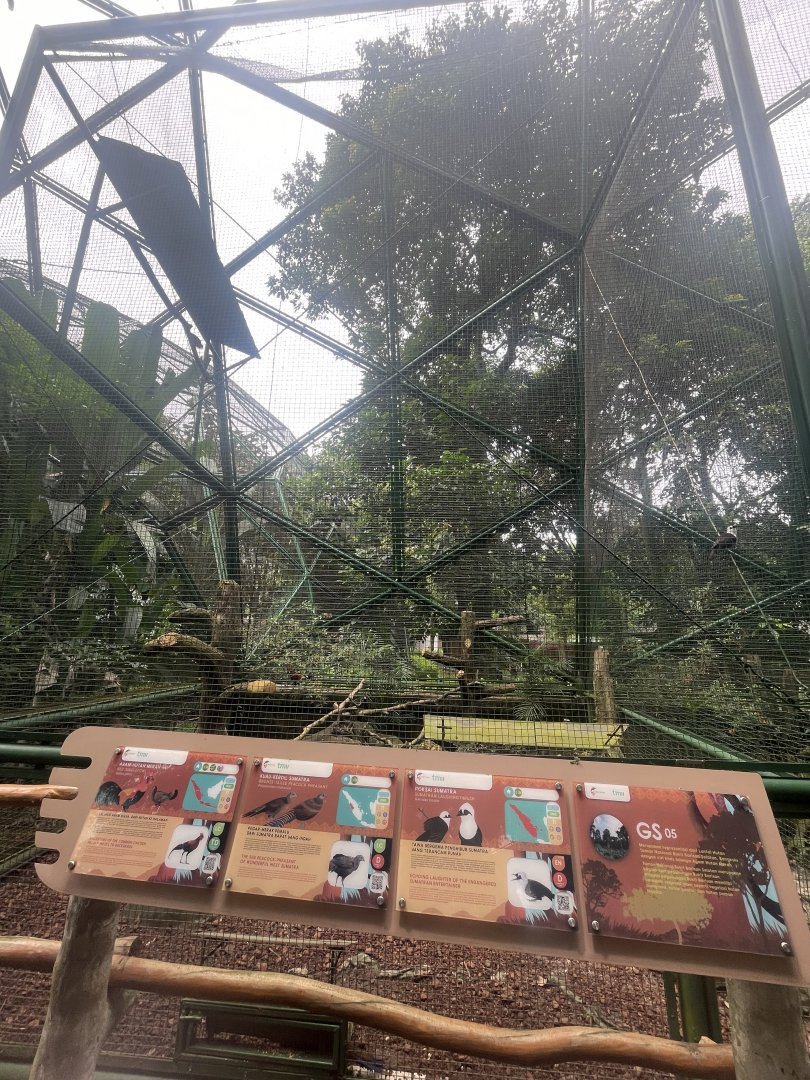 greater sunda - aviary no. 5 - taman burung
